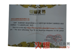 文通集團(tuán)榮膺全球煙花行業(yè)影響力十大原料企業(yè)殊榮